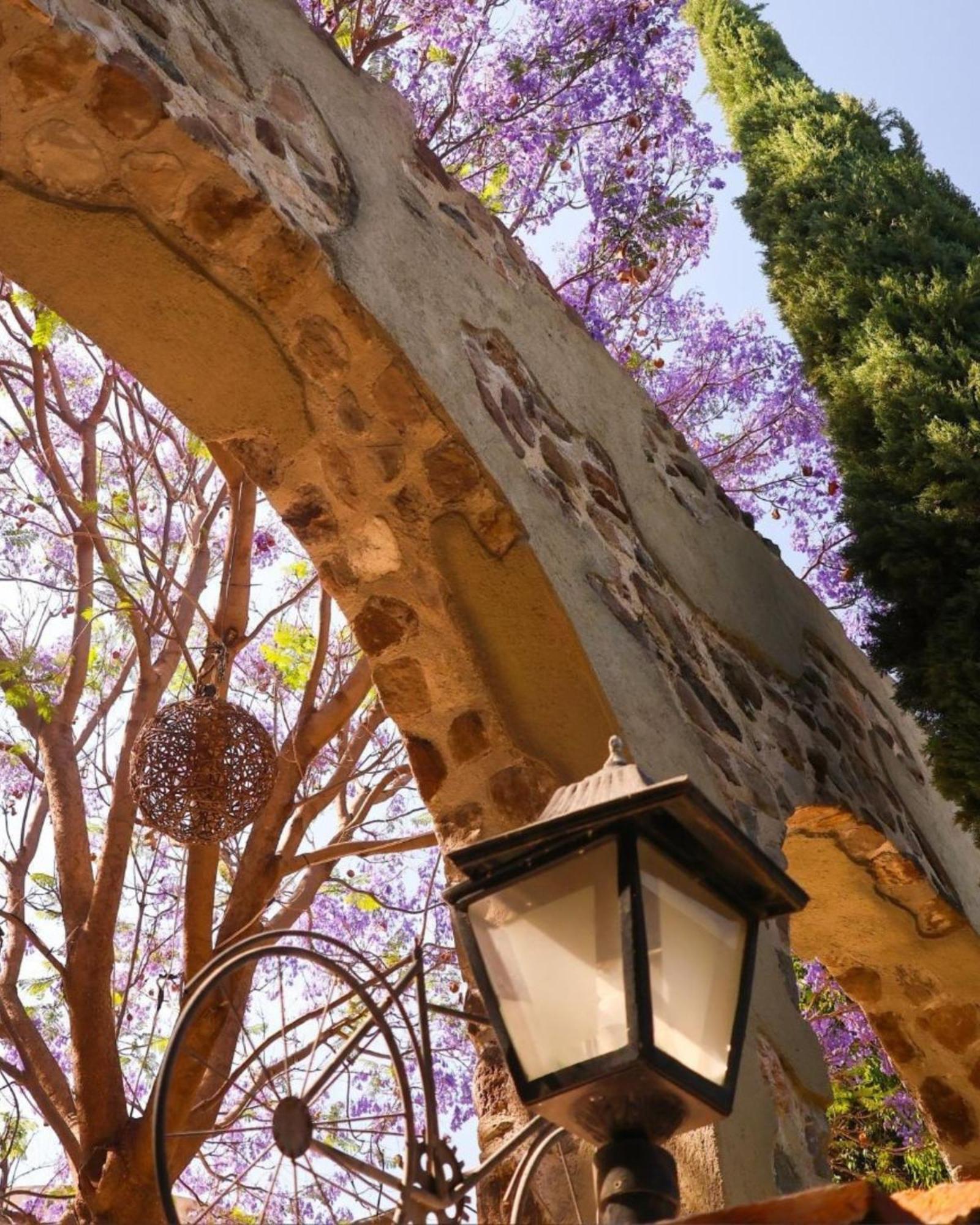 Suites Campestres Montebello Bernal Dış mekan fotoğraf