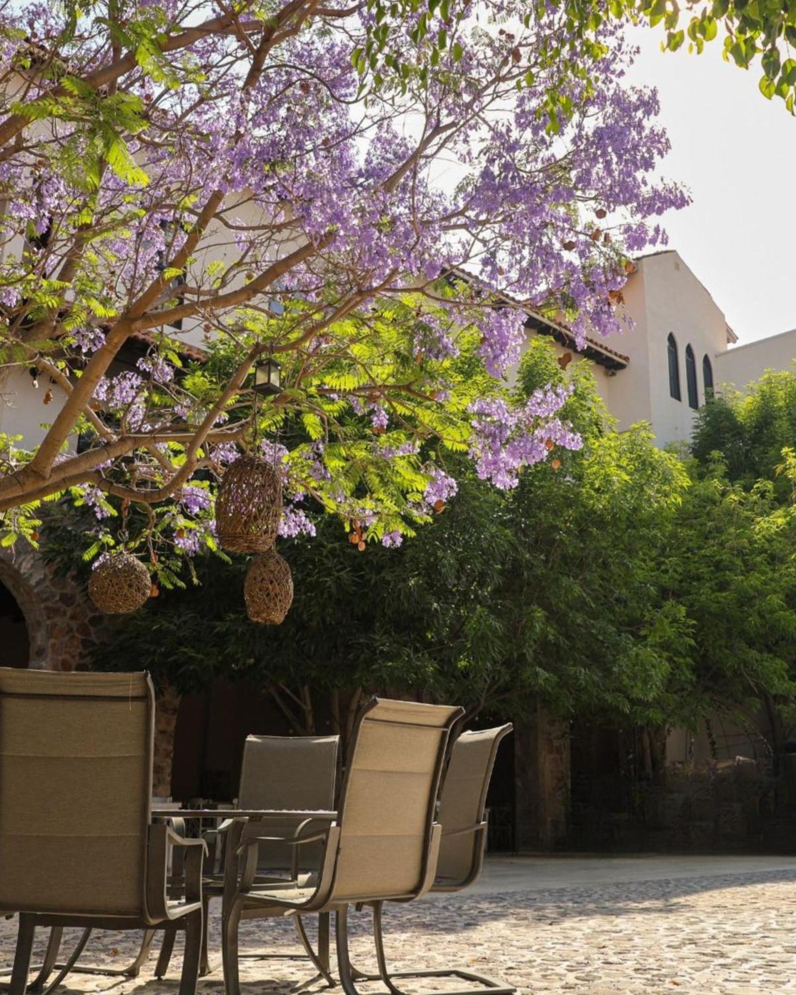 Suites Campestres Montebello Bernal Dış mekan fotoğraf